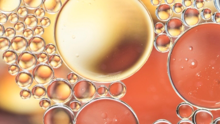 Liposome-Based Drug Delivery