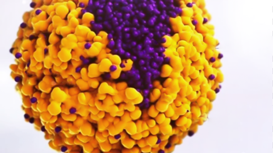 Albumin-Bound Injections